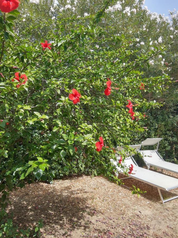 -Exclusive Private Villa- Villasimius Ngoại thất bức ảnh