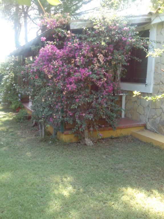 -Exclusive Private Villa- Villasimius Ngoại thất bức ảnh
